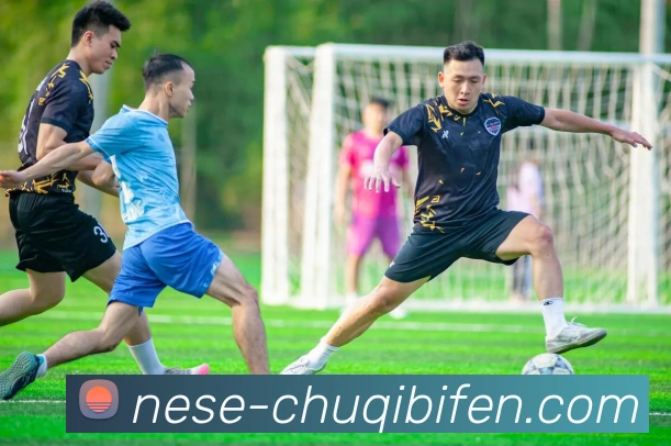 多媒体互动体验